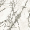 Anima Ever Slabs