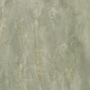 Anima Ever Slabs